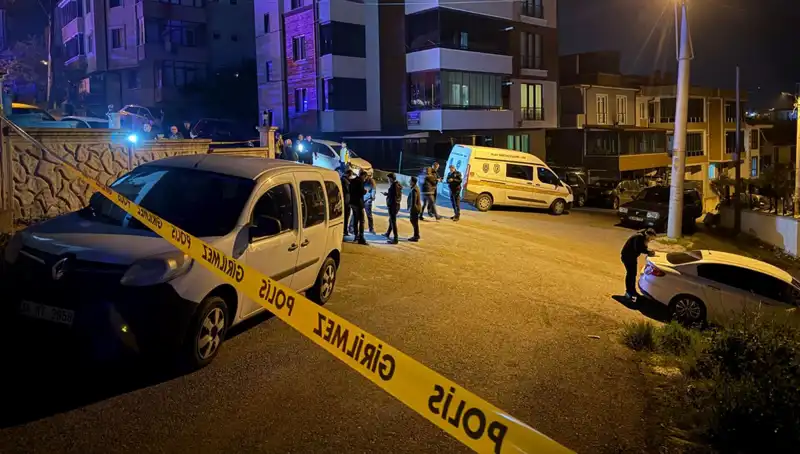Sakarya'da Kanlı Gecenin Ardındaki Sebepler ve Sonuçları