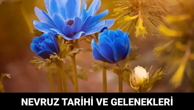 Nevruz Bayramı: Gelenekleri ve Kutlama Tarihleriyle Baharın Gelişi