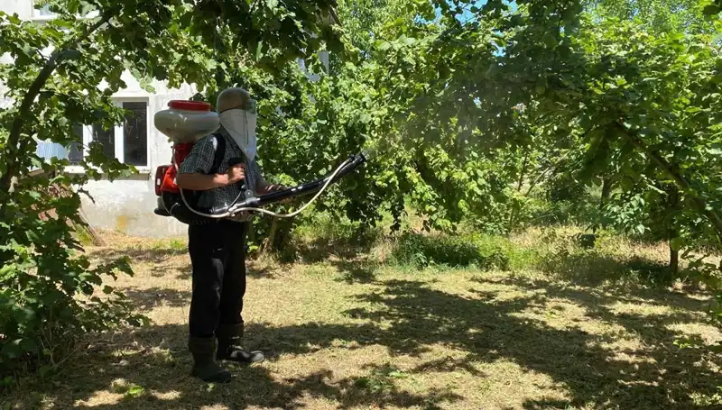 Çiftçinin Umudu: Kükürt ve Samuray Arısı İle Mücadele Yöntemleri