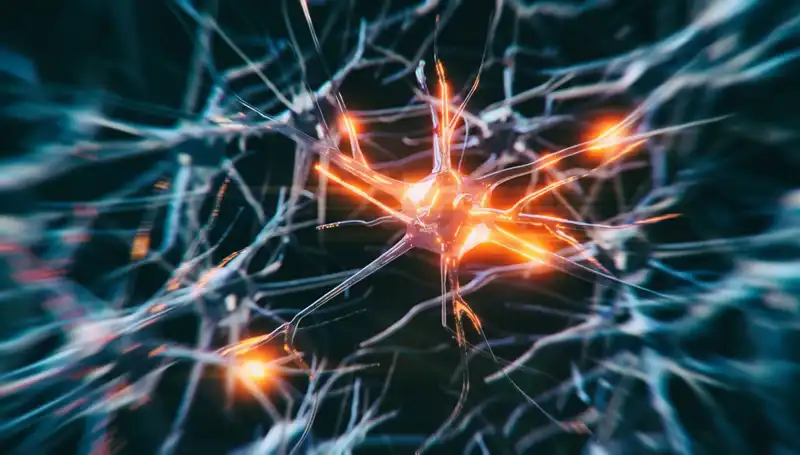 Alzheimer Vakalarındaki Korkunç Artışın Sebepleri ve Önleme Yöntemleri