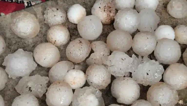 Şanlıurfa Gökyüzünden Dolu Yağmuruyla Sarsıldı: Tıpkı Kar Topları Gibi!
