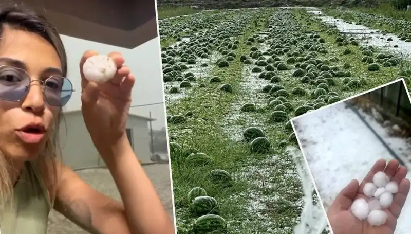 Antalya'da Dolu ve Hortum Neden Oldu? Yerel Halkın Anlatımları