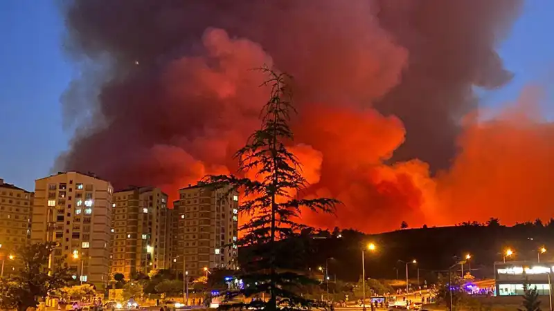 Bursa'nın Üzerinde Karanlık Gölgeler: Yangınlar Şehri Sarıyor