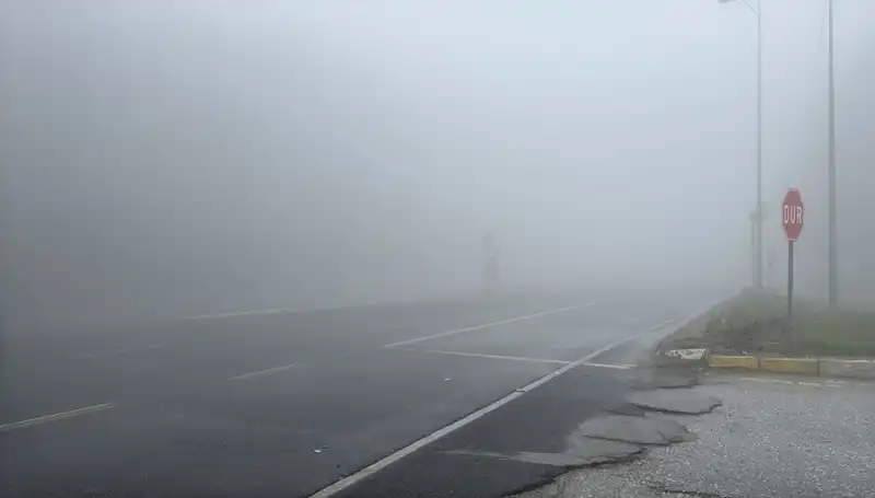 Bolu Dağı'ndaki Sis Kazalara Neden Oluyor: Sürücüler Dikkat!