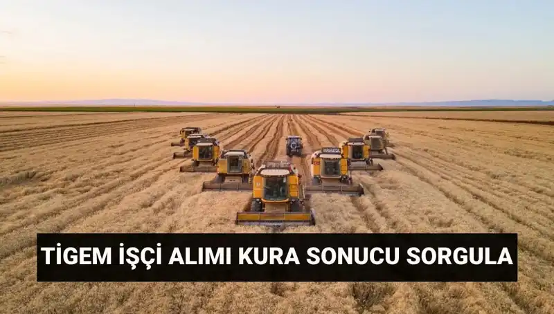 TİGEM 306 İşçi Alımında Kura Sonuçları Açıkladı: İsim Listesine Nasıl Ulaşılır?