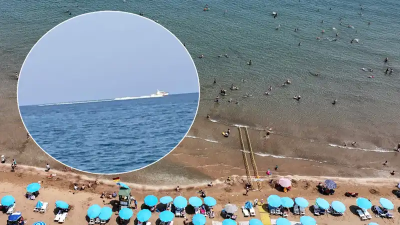 Plajda Köpek Balığı Korkusu: Hızla Boşaltılan Sahilin Ardındaki Gerçek Ne?