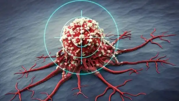 Prostat Kanserine Karşı Etkili 6 Besin: Bilimsel Çalışmalarla Kanıtlandı
