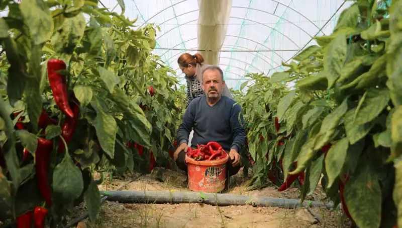Fiyatları Düşüren Kampanyalarda Şaşırtan Yüzde 50 Zam!