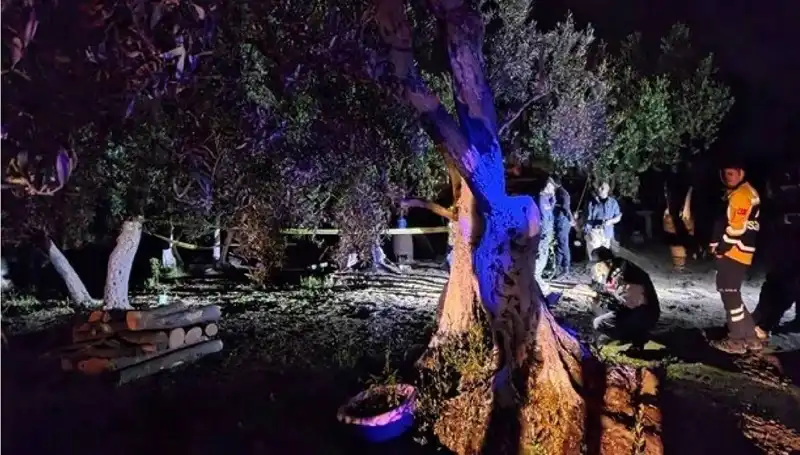 Çiftlikte Baltalı Vahşet: Sıra Dışı Bir Tutuklama!