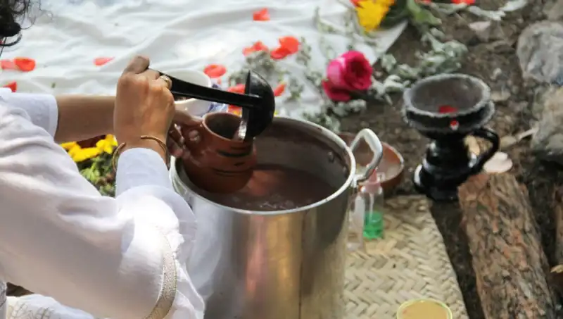 Ayahuasca: Gizemli İçim ve Etkileri Hakkında Bilmeniz Gerekenler