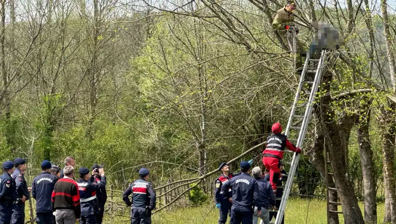 Ağaç Budarken Kalp Krizi Geçiren Adamın Son Dakikaları Ortaya Çıktı