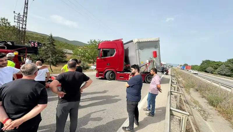 Seyir Halindeyken Arı Soktu: Şok Anlar Trafiği Kilitledi