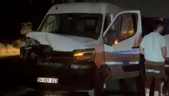 İstanbul'da Manda Kazası: Üç Kişi Hastaneye Kaldırıldı