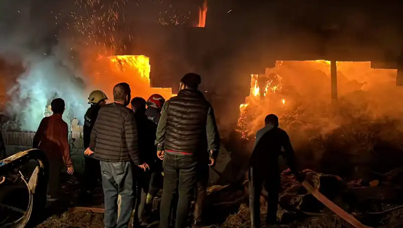 Bolu'da Dehşet Verici Ahır Yangını: Can ve Mal Kaybı Yaşandı