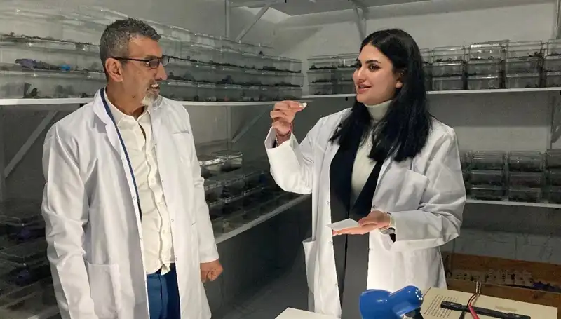 Akrep Zehriyle Şekerin Tuhaf Duygusal Buluşması: Yeni Bir Geçim Kaynağı