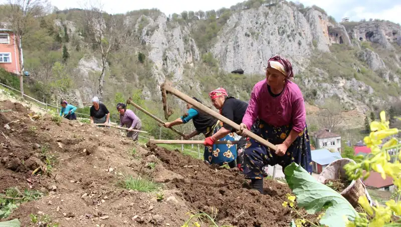 Zorlu Mesai Başladı: Sırtlarında Sepet, Ellerinde Kazmalarla Çalışanlar