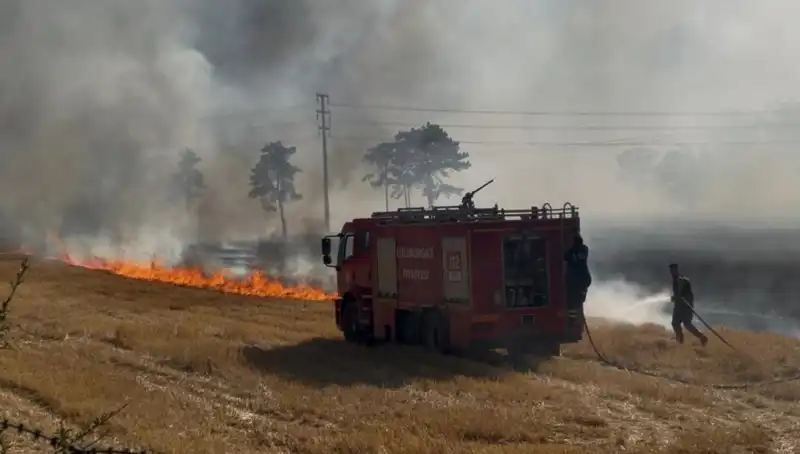 Kırklareli'nde Anız Yangını, Vatandaşları Korkuttu ve Doğayı Tehdit Etti