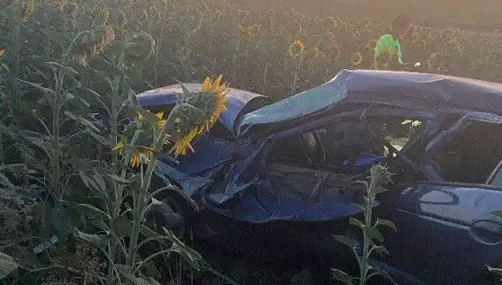 Otomobil Ayçiçeği Tarlasında Devrildi: Yaralılar ve Sorgulanan Güvenlik Önlemleri