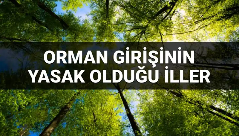 2025'te Orman Girişine Yasaklanan İller Listesi Açıklandı